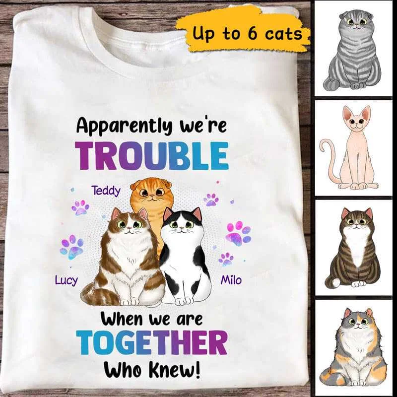 Women's Girlfriend T-Shirts-Trouble Together Fluffy Cats Personalized Shirt