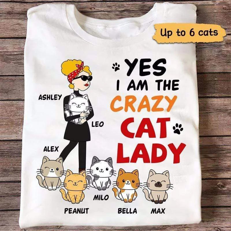 Women's Sheer Panel T-Shirts-Stick Crazy Cat Lady Personalized Shirt